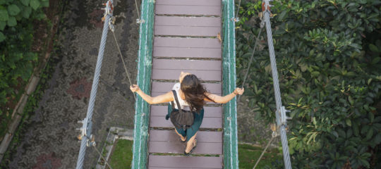 Woman on a canopy bridge, inspiring people with a vision.